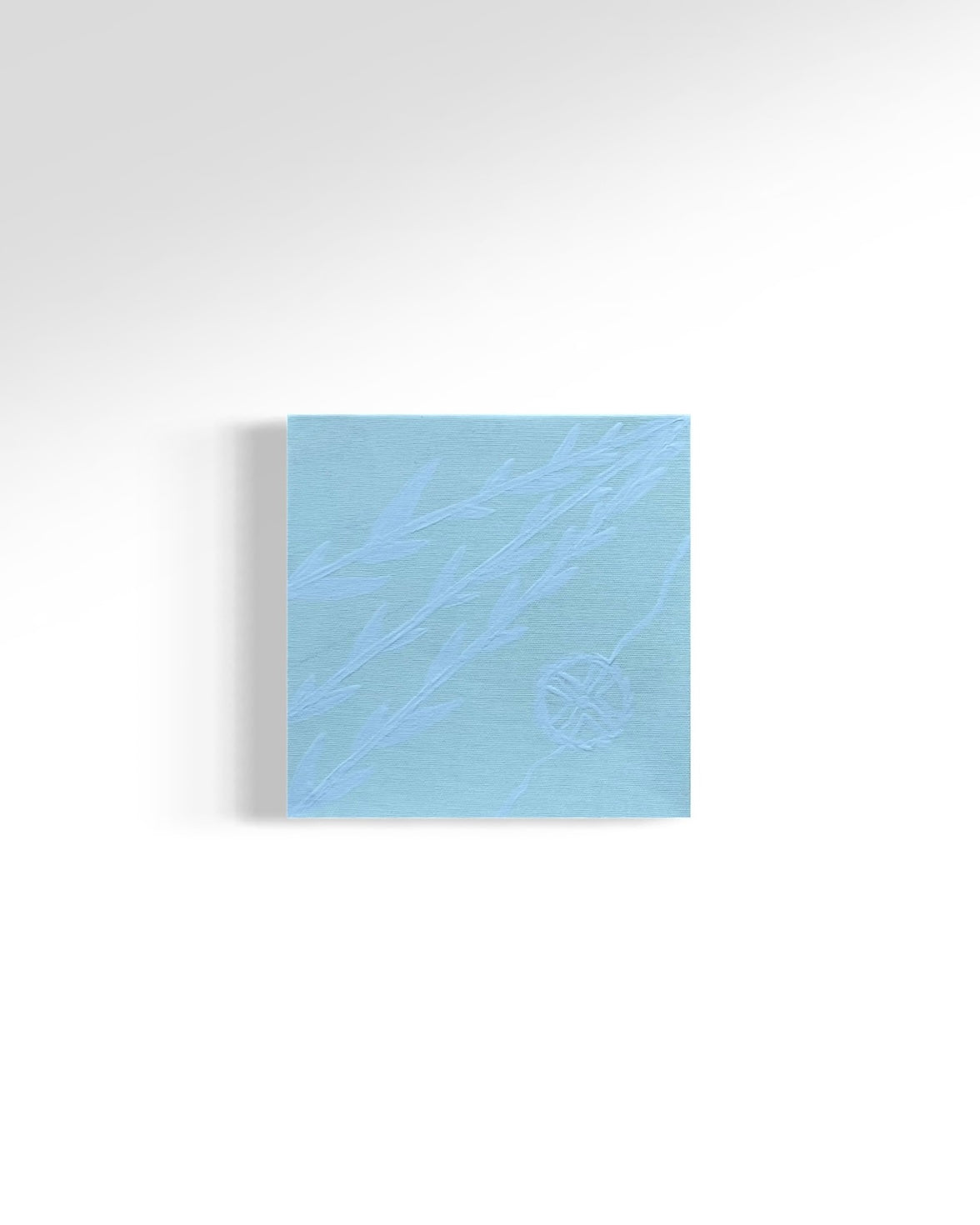 MPH - n’5