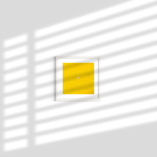 Petits Mondes-Soleil